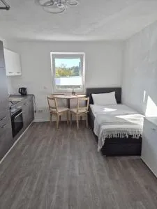 Helles 1-Zimmer-Apartment mit guter Ausstattung - 梅尔齐希