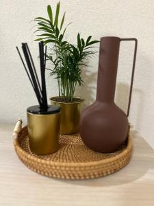 lévidence-Bâle-Aéroport-Lockeys