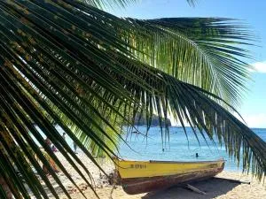 Logement spacieux 20 m plage - LʼAnse Noire