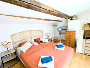 Appartements Le Cauris du pont romain : photos des chambres