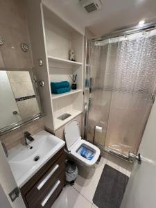 Lovely Chelsea Entire Apartment london city