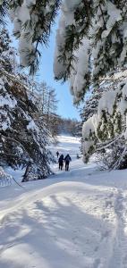 Chalets Chalet luxueux SAUNA WIFI : photos des chambres