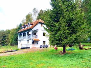 Maisons de vacances L-etang de Belval - Vosges : photos des chambres