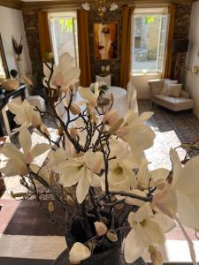 B&B / Chambres d'hotes Maison d'hotes de charme 