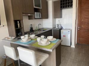 13 Apartamento en Santiago en fente al Metro