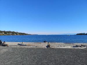 UVIC Ocean View Private Guesthouse