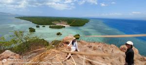Whale shark private trip