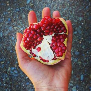 Living Land, a magical Permaculture Farm