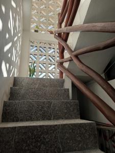 Mi habitat holbox-Maravilla natural