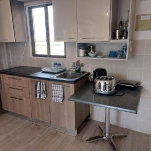 Danit apartmnt by the sea