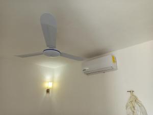 Mi habitat holbox-Maravilla natural