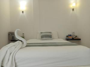 Mi habitat holbox-Maravilla natural