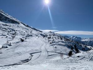 VAUJANYLOCATIONS - Flocon 1