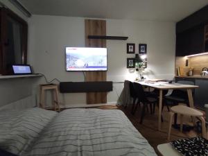 Apartman SPEEDY Gondola