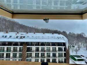 Bakuriani Haystack Apartment 219 Rooftop Views
