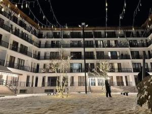 Bakuriani Haystack Apartment 219 Rooftop Views