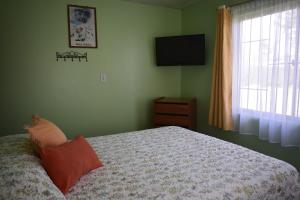 Cabañas Jardines de Isla Negra