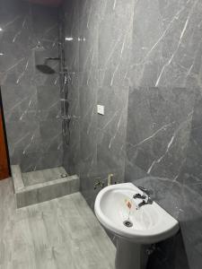 Steady State Apartment 5