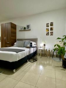 Suite-loft, cultura local confort ingreso independiente