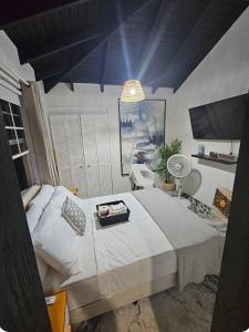 Harveys Mizpahcot Oasis - Cruise Port, Us Embassy and Vacation