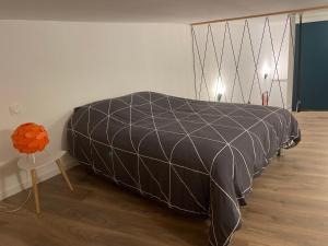 Appartements Charmant Loft : photos des chambres