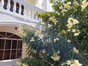 Costambar Ocean Breeze - Beachfront Apartment with Pool