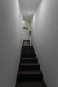 Botanica free parking apartman