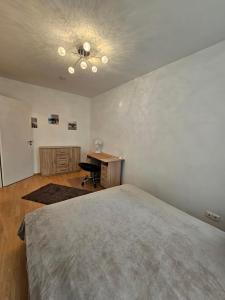 Center Budapest entire Apartment