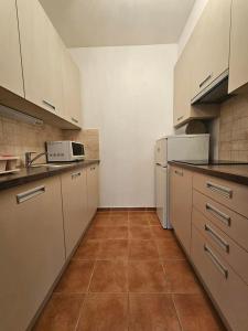 Center Budapest entire Apartment