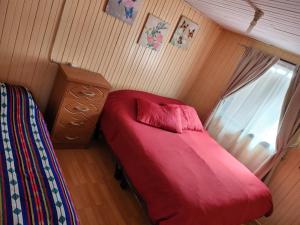 Cabaña Terraza Choshuenco