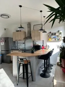 Duplex 65m2 lumineux avec vue sur le chateau 3 étoiles - Vieux-Charmont