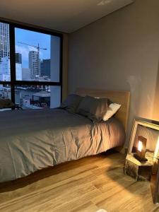 Charming Loft Reforma