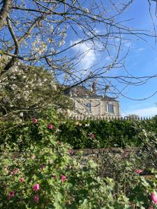 Maisons d'hotes La Galotiere : photos des chambres