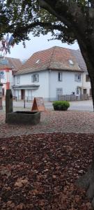 Love room avec spa privatif