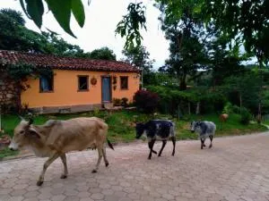 Diamantina, Curralinho Extração - 米洛韦吉