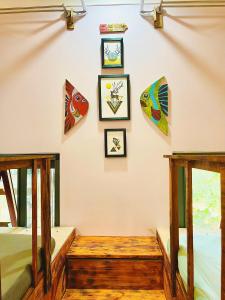Giường Tầng Trong Phòng Ngủ Tập Thể Cho Nam Và Nữ (Bunk Bed in Mixed Dormitory Room)