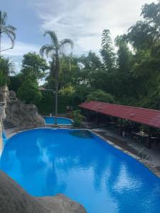 Casa Patricia Hotel & Resort