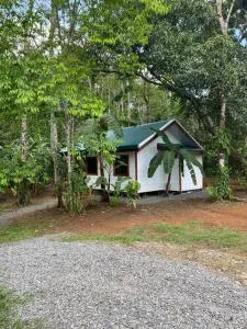 Monkey House, Monterrey - San Cristóbal