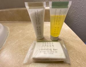 Queen Room - Disability Access/Non-Smoking room in Super 8 by Wyndham Green Bay Near Stadium
