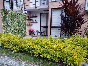 Apartasol Greenview tebaida