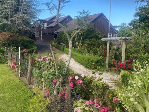 Kauri View Cottage - 2 Bedroom Self Contained Unit