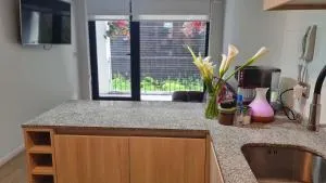 Bello departamento en costanera de Valdivia - Valdivia