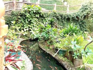 Villa Cahaya 3 Guci Mitra RedDoorz