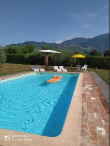 Ringo, the true Tuscany Country House