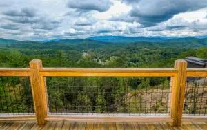 Maw and Paws Retreat - 丹德里奇