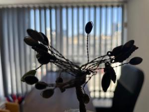 Central Comfort in Nicosia - Orfeos By Platform 357