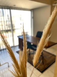 Central Comfort in Nicosia - Orfeos By Platform 357