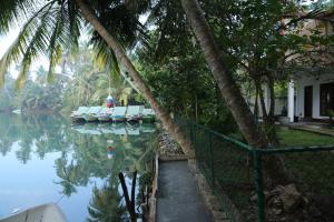 Prana Ayurveda Yoga Center