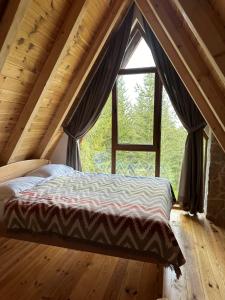 Wonderwood Cabin 2