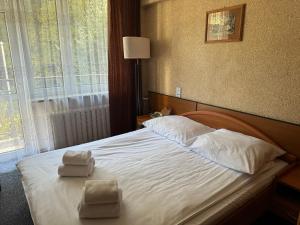 Single Room room in Hotel Echo